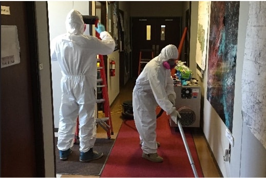 Asbestos and Mold Removal